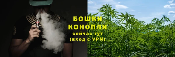 стафф Няндома