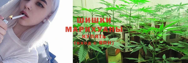 стафф Няндома